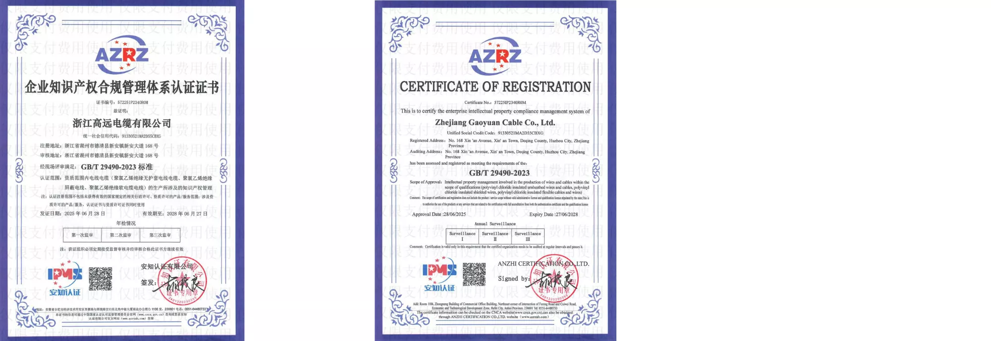 IP Management