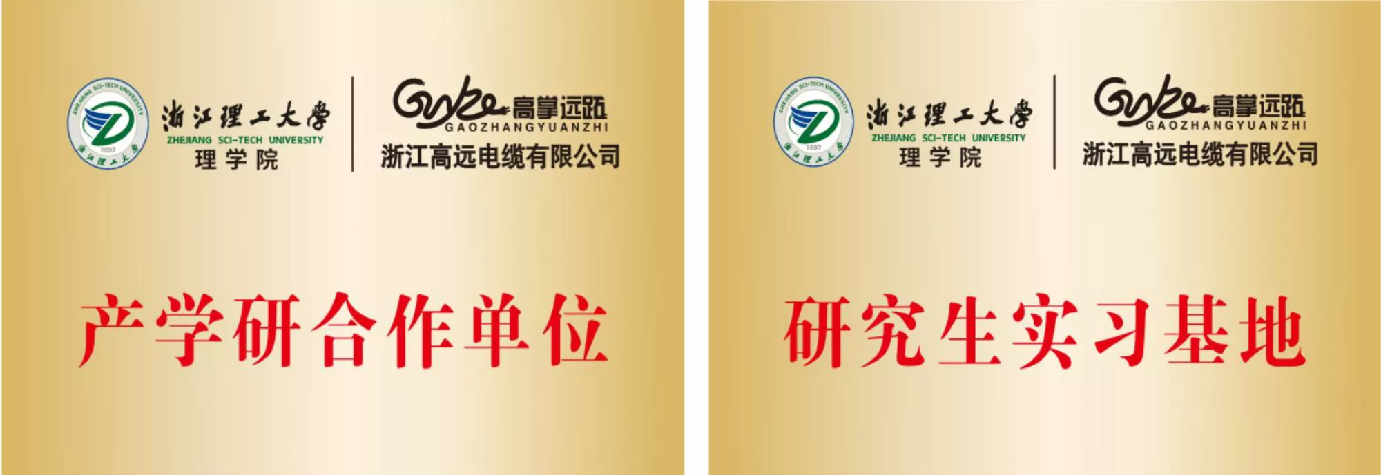 University Cooperation
